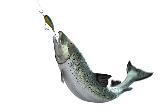 Terry says he’s trawling on the Hawkesbury, while his wife Lisa believes he’s trolling. Who’s correct?