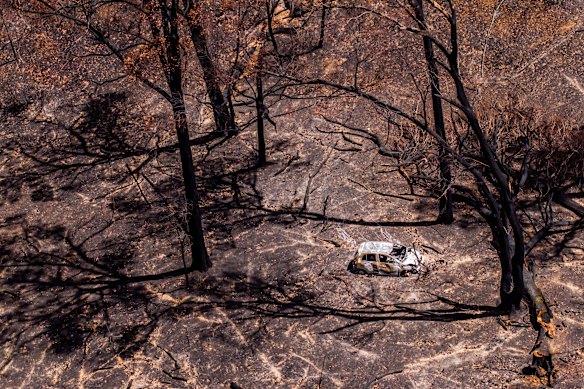 The aftermath of the Victorian bushfires in Longwood, Victoria.