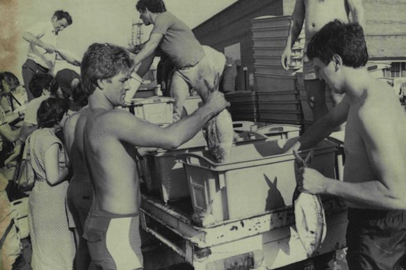 Domenico Bagnato in the 1980s.