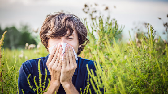 Seasonal allergic reaction.