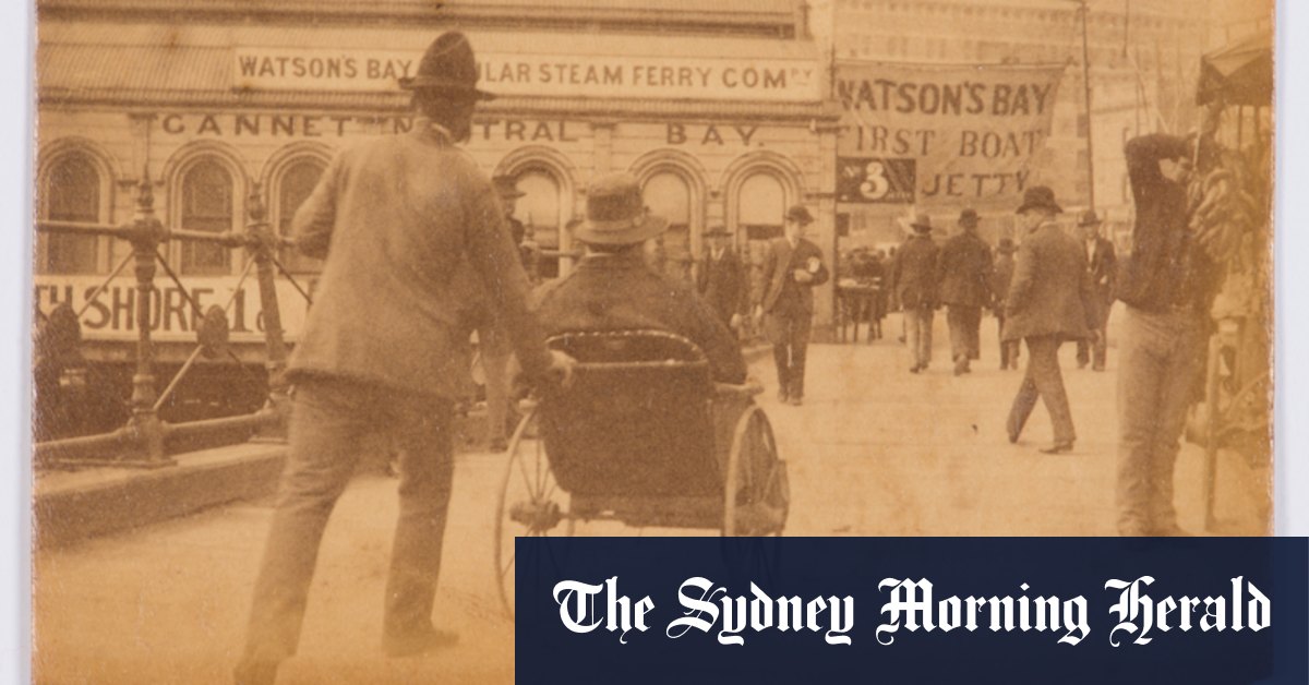 Why Louis Nowra fell in love with Sydney's drama, charms and stories - Vimarsana News