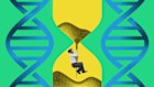 Scientists in fields such as epigenetic reprogramming are working on a series of potentially world-changing breakthroughs in extending the human lifespan.