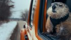 Bill Murray and a furry co-star reprised their roles from the movie Groundhog Day for a Super Bowl ad.