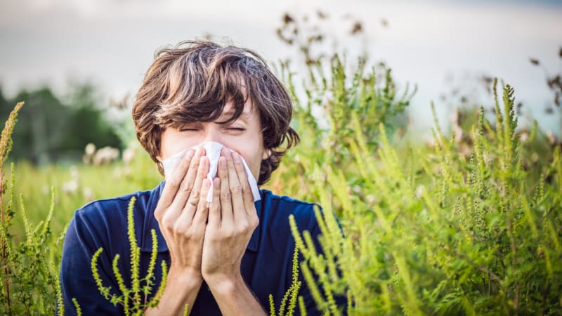 Why you get hay fever (and what you can do about it)