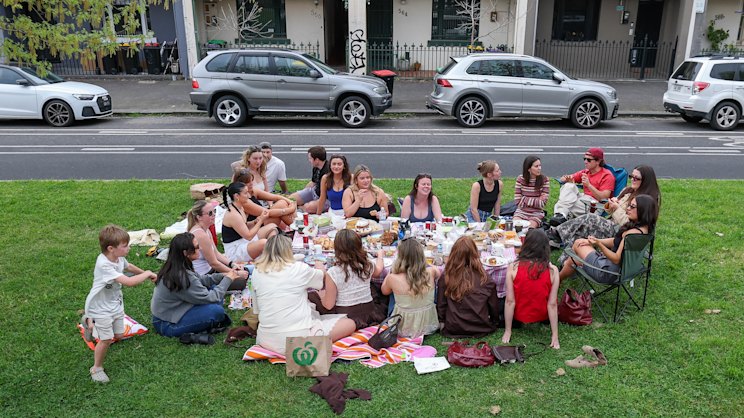 theage.com.au - James Costa - How median strips became the latest battlefront in Melbourne's NIMBY war