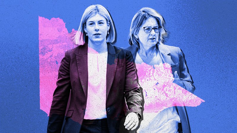 ‘Massive mood for change’: Can Jess Wilson take the fight to Labor?