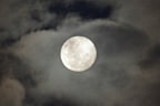 Provided skies are clear, the full moon will be easy to see without any special equipment. 