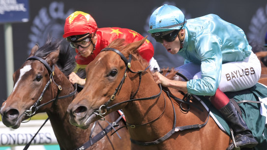 Platinum Jubilee will part of the Sir Owen Glenn team in the Magic Millions Classic.