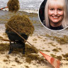The Aussie tackling an ocean-spanning seaweed ‘monster’