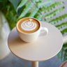Rumble is a specialty coffee roaster in Kensington.