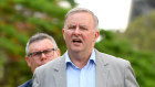 Anthony Albanese says Matt Canavan is "a boy''.
