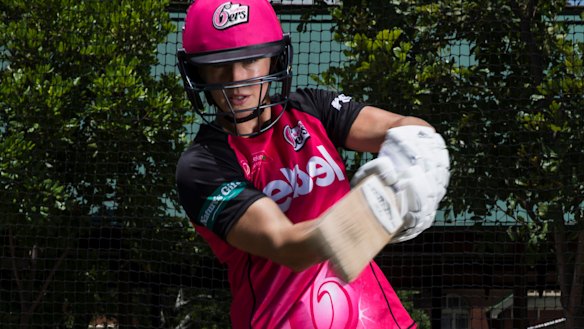 Dominant: Ellyse Perry has been delivering in all forms of the game.
