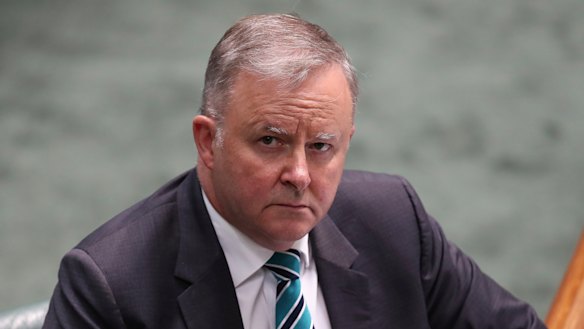 Labor leader Anthony Albanese.