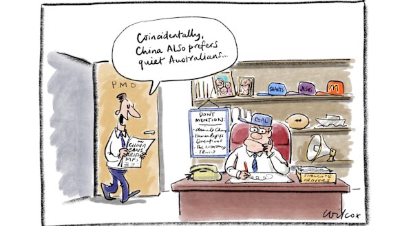 Illustration: Cathy Wilcox