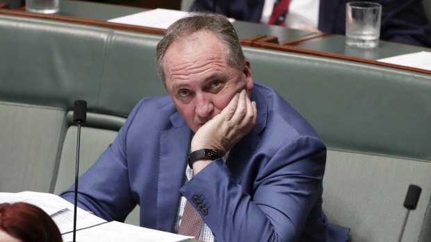 Barnaby Joyce is the kind of character who favours crashing through the crowd on the way to the bar.