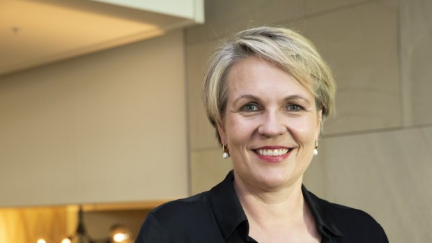 Former Labor deputy leader Tanya Plibersek.