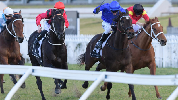 Thriving: Flow has enjoyed a strong winter campaign and shows no signs of slowing down.