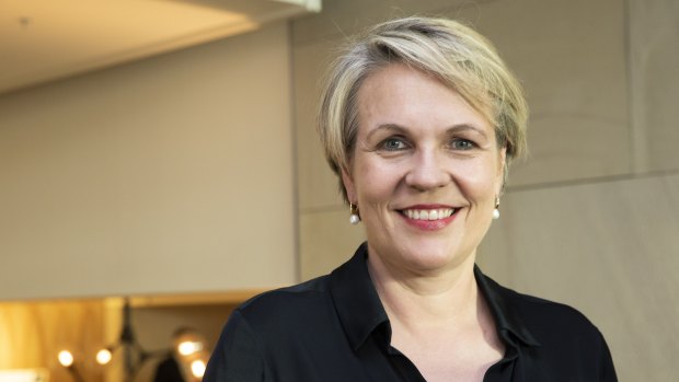 Tanya Plibersek.