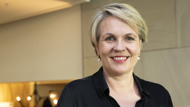 Labor’s education spokeswoman Tanya Plibersek has batted away suggestions she has been sidelined in the campaign.