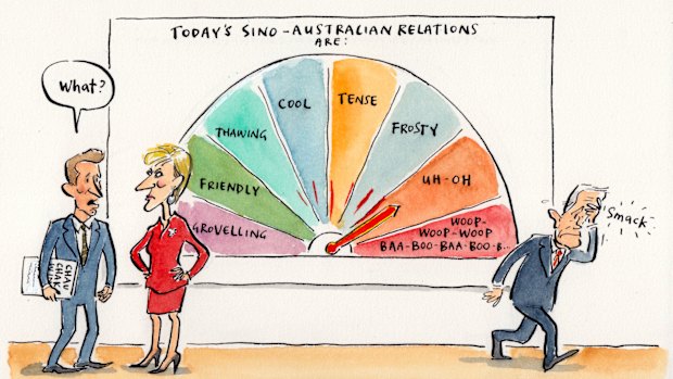 Illustration: Cathy Wilcox