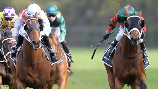 Shining bright: The Autumn Sun storms down the outside to win the Golden Rose.