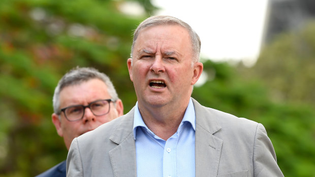 Anthony Albanese says the government has "no climate policy". 