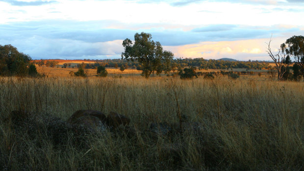 The Myall Creek site where on June 10, 1838, the slaughter of 28 Aboriginals took place.