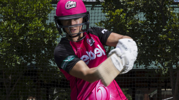 Dominant: Ellyse Perry has been delivering in all forms of the game.