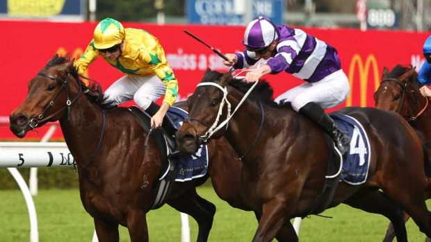 Caballus gets the better of Estriella at Randwick in July
