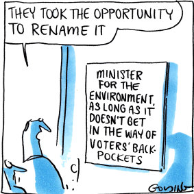 Melissa Price was dumped as environment minister in last month's reshuffle. Illustration: Matt Golding