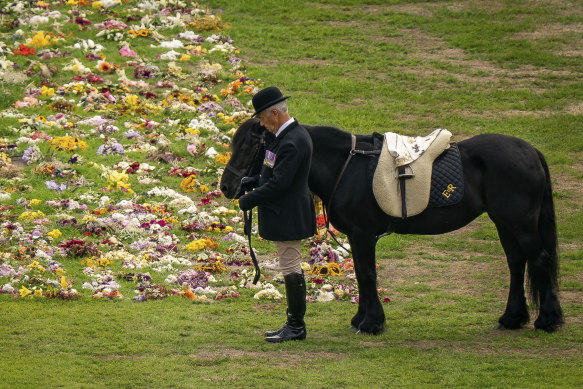 Emma, the Queen’s pony, stands as the procession passes by.