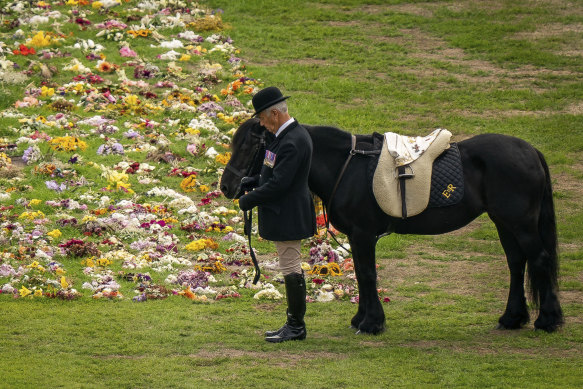 Emma, the monarch’s fell pony, stands as the Queen’s coffin arrives at Windsor Castle.
