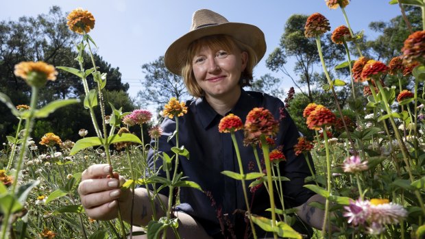 Not just a pretty place: What garden exhibitions really teach us