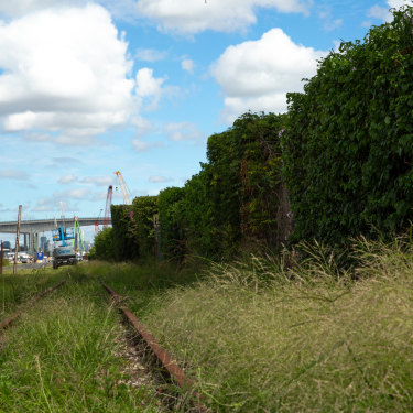 In partnership with industry, Bulimba Creek Catchment Coordinating Committee has launched the Gibson Island Rehabilitation Project. 