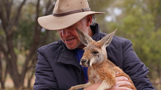 A snuggle with one of his adopted kangaroos.