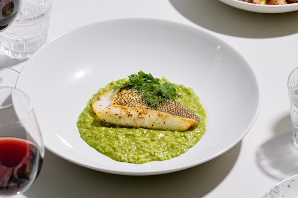 Pescada negra no Opa Bar e Mezze.