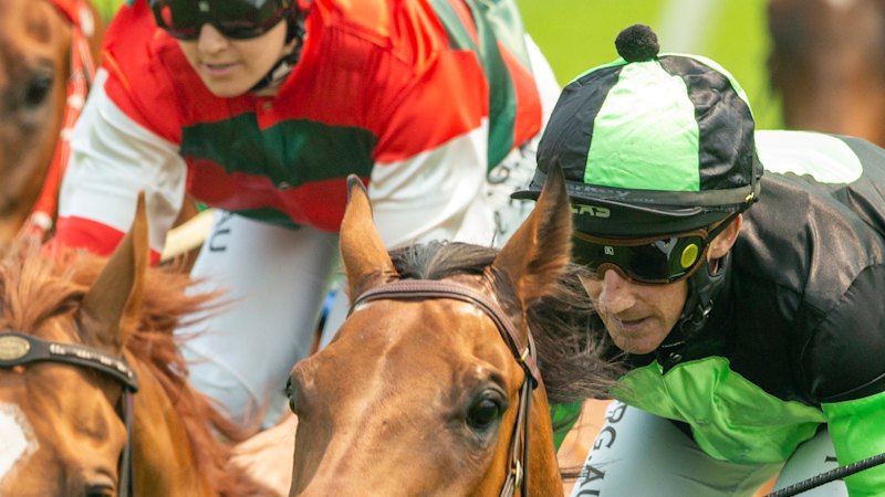 smh.com.au - Ray Hickson - Race-by-race tips and previews for Warwick Farm on Wednesday
