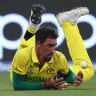 Starc drops a chance against South Africa.