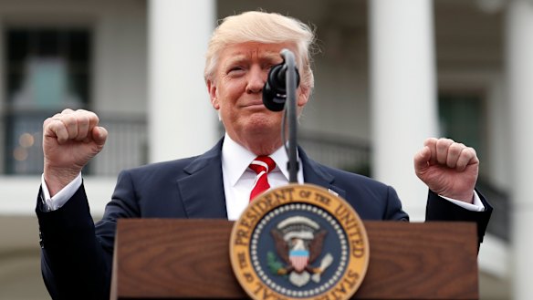President Donald Trump on the South Lawn of the White House on June 22, 2017.