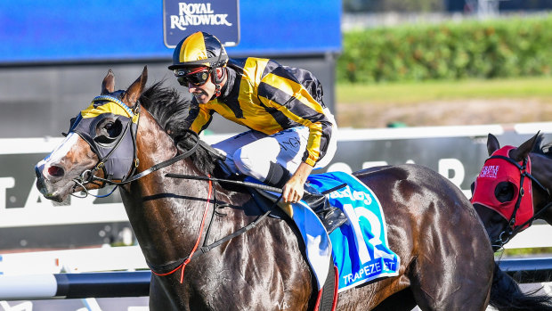 Back on track: The Everest favourite Trapeze Artist  will return to racing in the Theo Marks Quality on Saturday.  