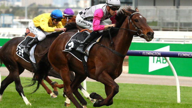 Surprise Baby, with Jordan Childs on board, was Macquarie's pick for the Melbourne Cup. 