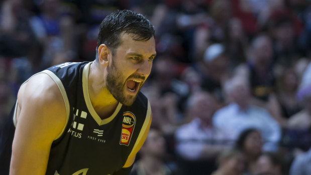 Roaring back: Andrew Bogut's return to the NBA is a good thing for the Sydney Kings, according to their acting CEO.
