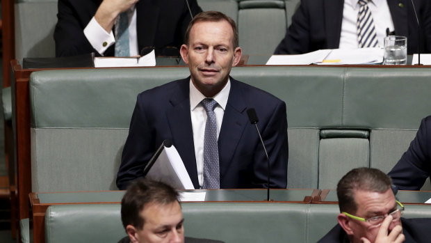 Former prime minister Tony Abbott during question time this week.