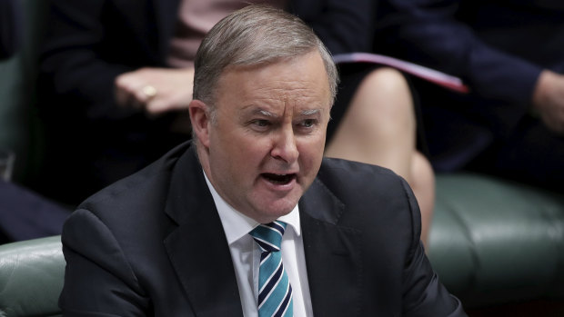 Opposition Leader Anthony Albanese during question time.