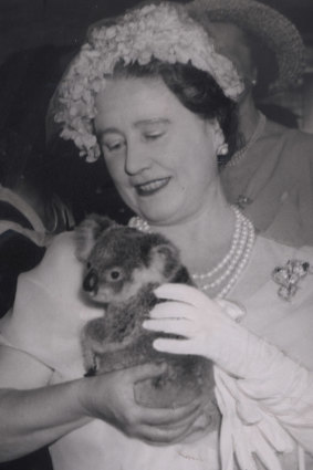 A picture of Princess Charlotte cuddling a koala, as the Queen Mother did at Lone Pine Sanctuary in 1958, could do wonders for Queensland tourism. 