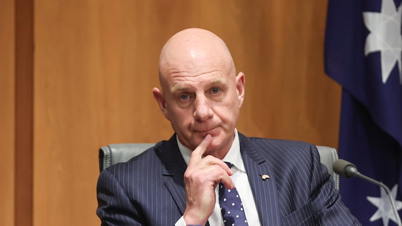 Labor recruits ex-Liberal premier to champion multiculturalism