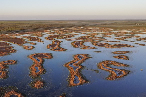 Flooded paddocks and full channels have brought wildlife back to Gayini, a once barren landscape.