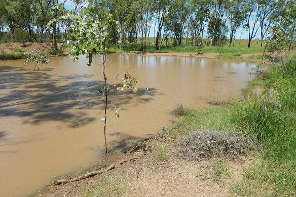 Origin Energy apologised for the unauthorised releases of almost 800,000 litres of contaminated water.