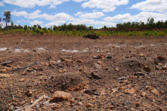 Same area near Nanga Brook 1.5 years later. Vegetation growing in some places, but large expanses are barren.