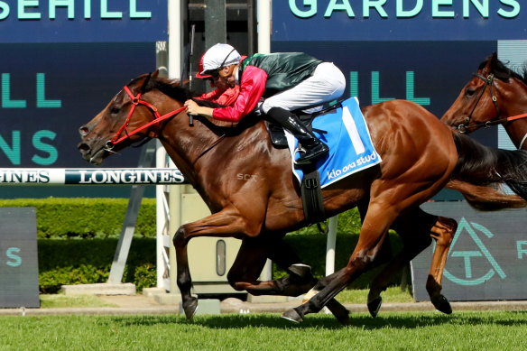 Mamma mia: Motherhood on hold for mare in the fast lane to group 1s